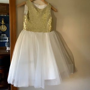 Party dress/ Flower girl dress